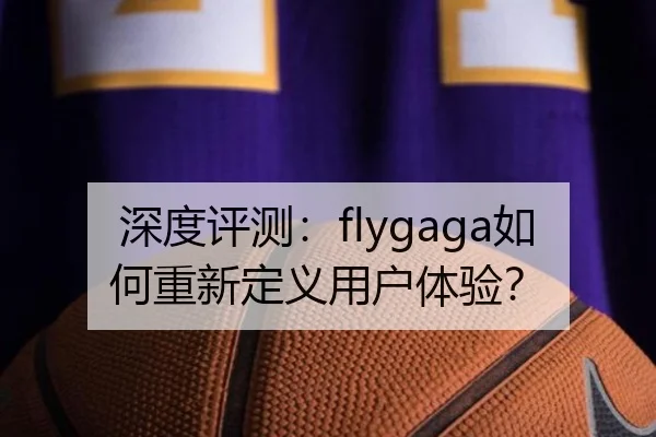 深度评测：flygaga如何重新定义用户体验？