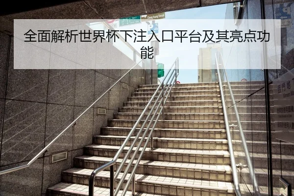 全面解析世界杯下注入口平台及其亮点功能（HuaTiHui）