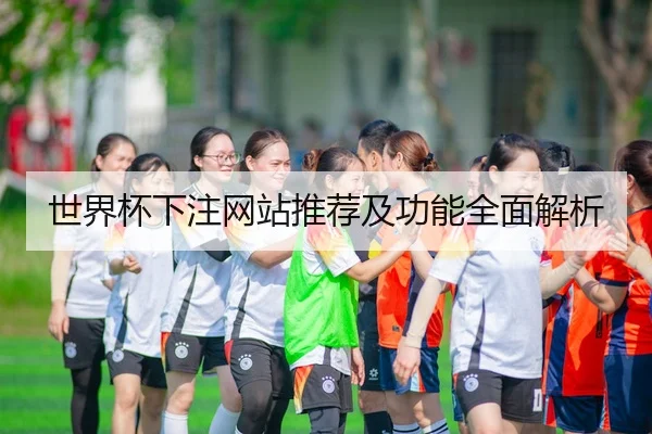 世界杯下注网站推荐及功能全面解析（HuaTiHui）