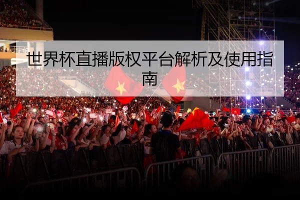 世界杯直播版权平台解析及使用指南